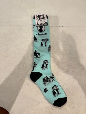 Knee high robins egg blue Jane Austen toile style socks. NEW!